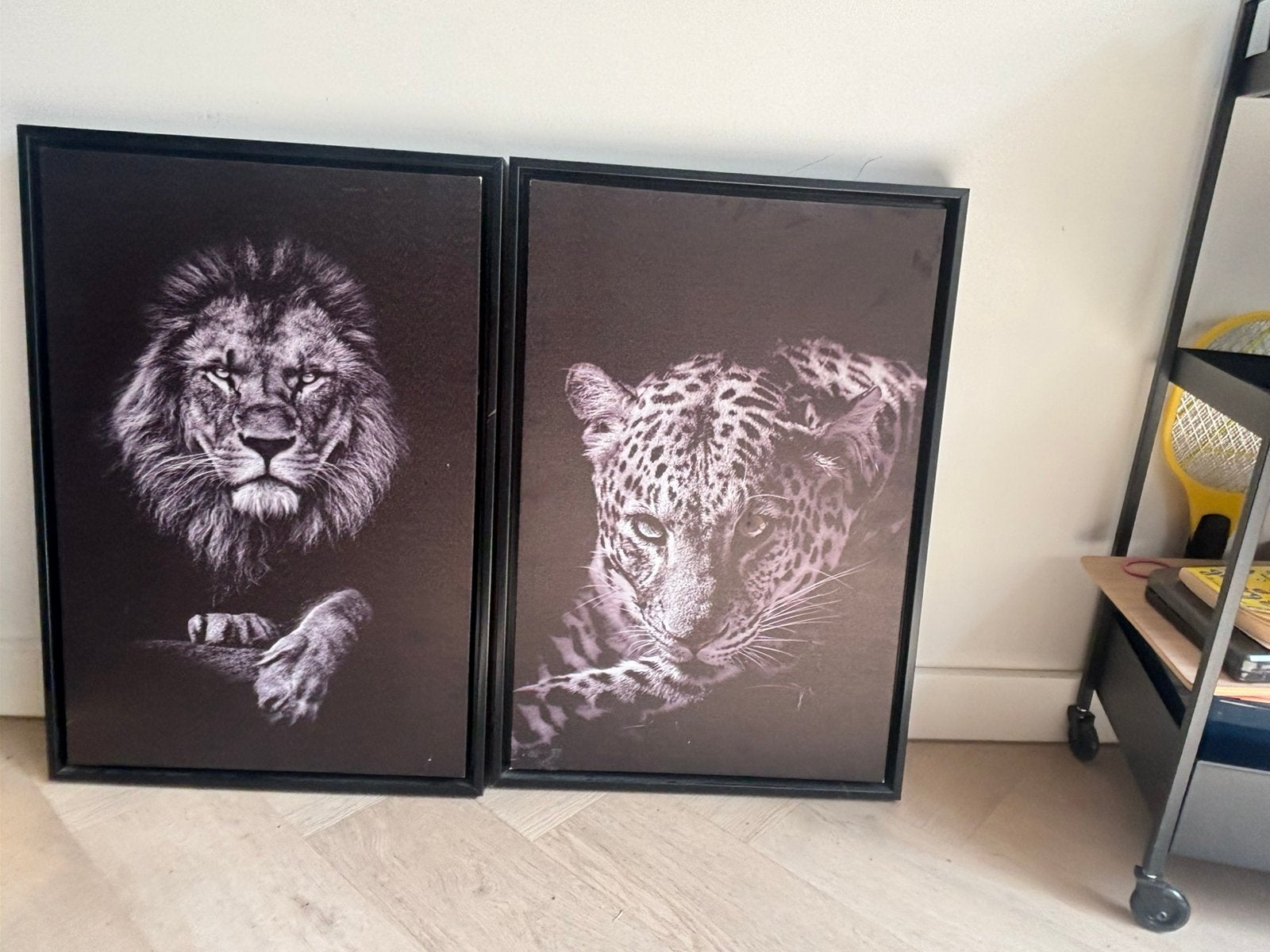 Mooie tijger en leeuwen portretten, Ophalen, 50 – 75, Minder dan 50 cm, Gebruikt
