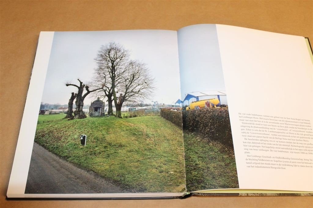 Bomen in het Voorbijgaan — Fotoboek Monumentale Bomen NL, Ophalen of Verzenden, Zo goed als nieuw, Bloemen, Planten en Bomen