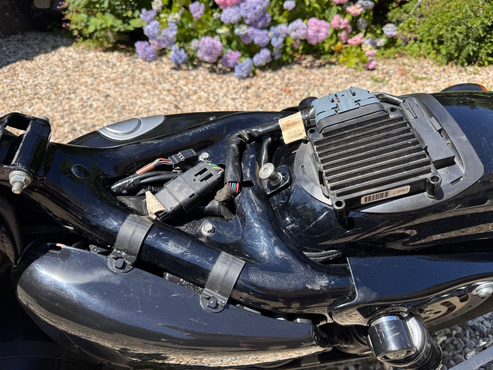 Harley-Davidson Sportster 1200 Custom - Zwart, 2 cilinders, Gebruikt, Particulier, Meer dan 35 kW