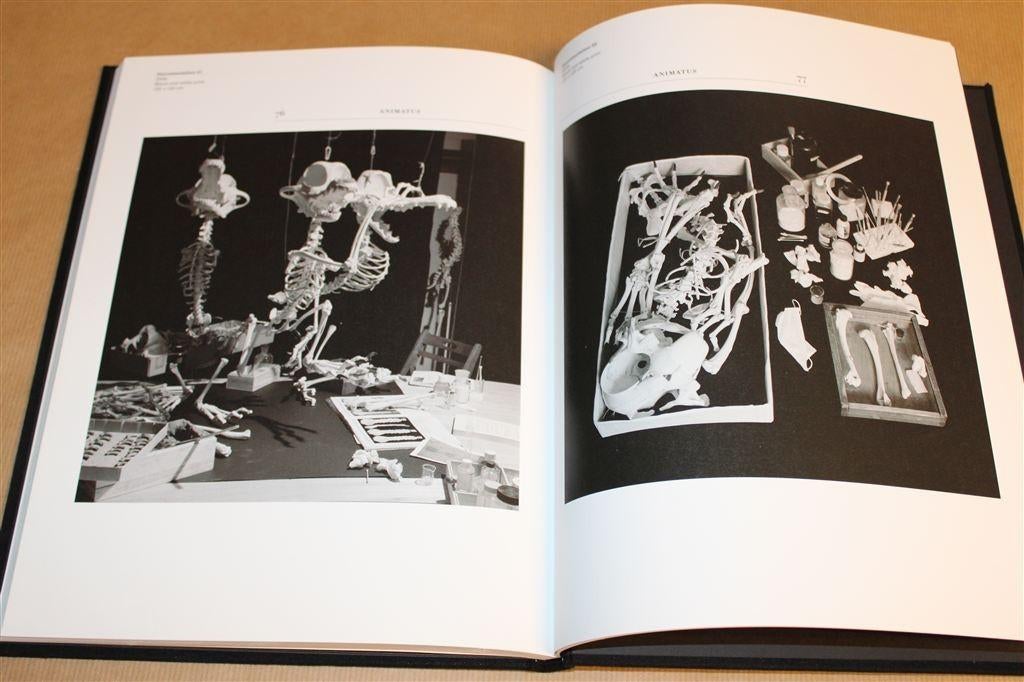 Hyungkoo Lee — The Homo Species [Kunstboek], Ophalen of Verzenden, Gelezen