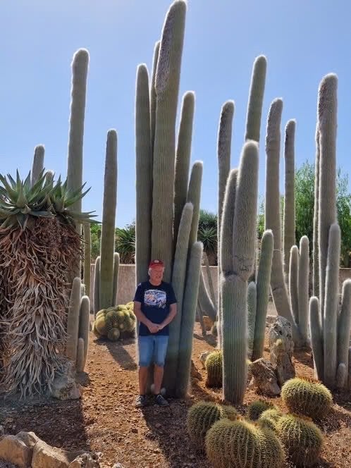 Open dag zaterdag 27 juni Caudex & 25000m2 cactusplezier, Ophalen of Verzenden, Halfschaduw, Minder dan 100 cm