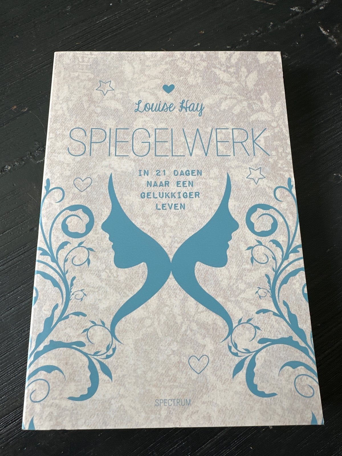 Spiegelwerk - Louise Hay (In 21 dagen naar een gelukkiger le, Ophalen of Verzenden, Zo goed als nieuw, Spiritualiteit algemeen
