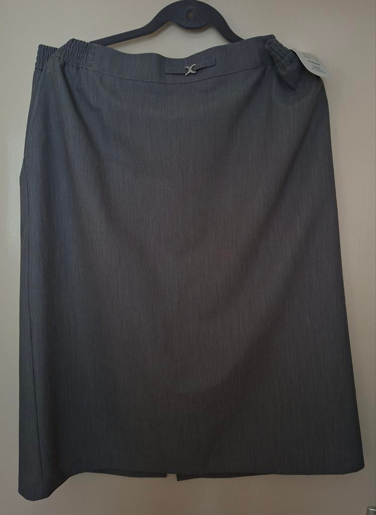 Nieuwe Setter Fashion Pierrot-S rok maat 46 grijs, Kleding | Dames, Rokken, Setter Fashion, Maat 46/48 (XL) of groter, Nieuw, Ophalen of Verzenden
