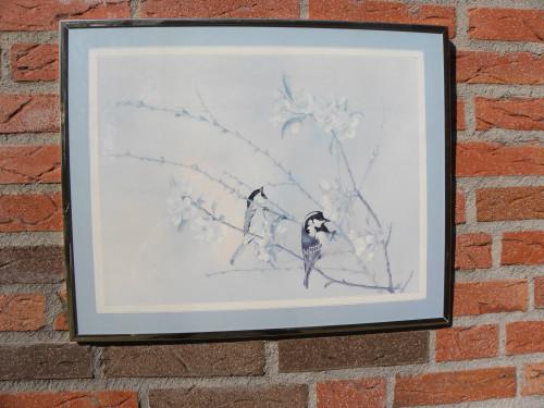 prent met vogels pimpelmezen, Ophalen of Verzenden, 'T Olde Gre-j, Info@toldegrej.nl, Endepoelstraat 20f Didam