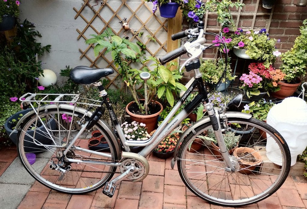 Koga distance lady 24V bescheiden opknapper, Ophalen, 28 inch, Velgrem, Koga Miyata