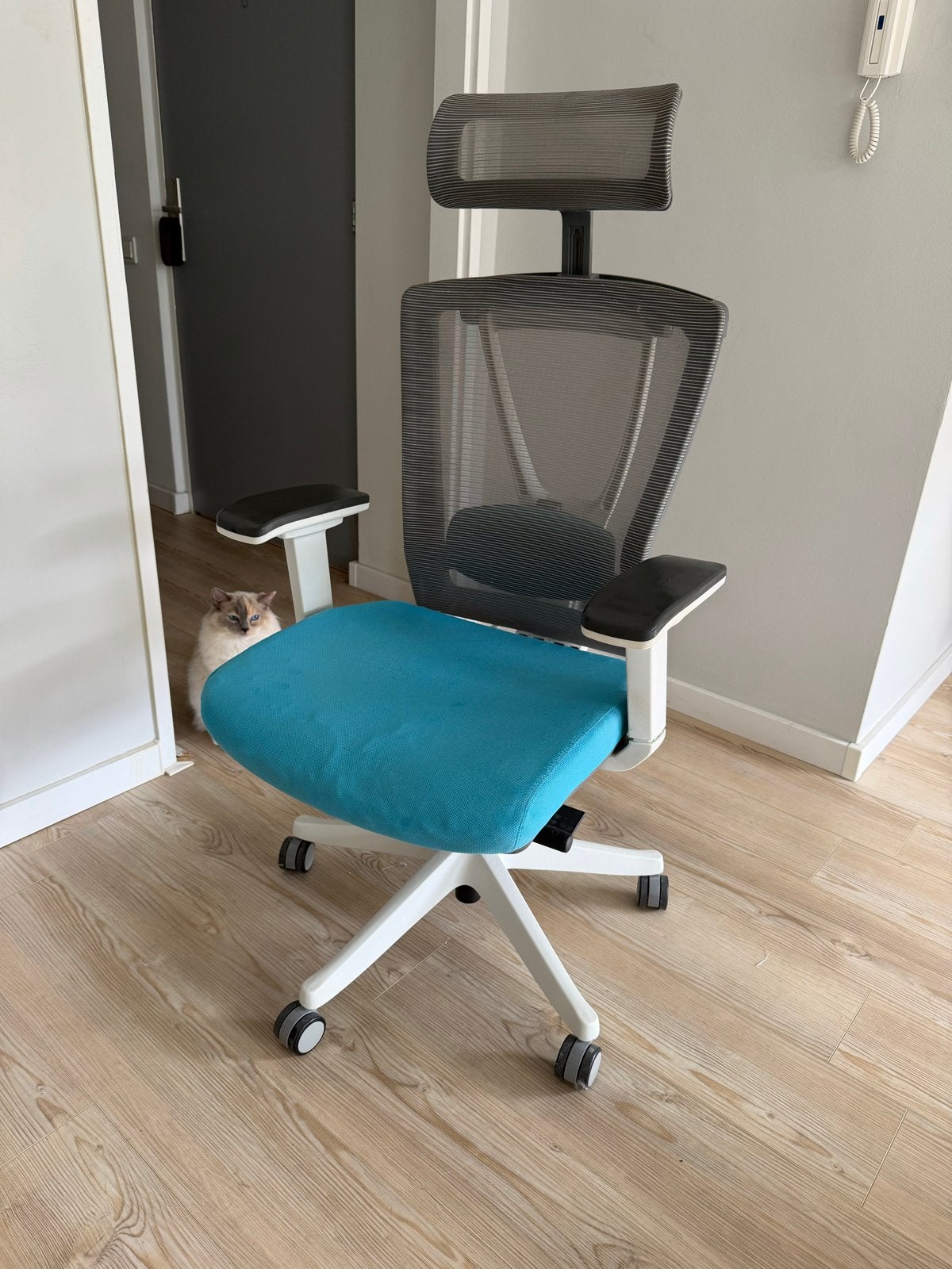 Autonomous Ergo Chair 2 - Ergonomische Bureaustoel, Ophalen, Gebruikt, Overige kleuren, Bureaustoel