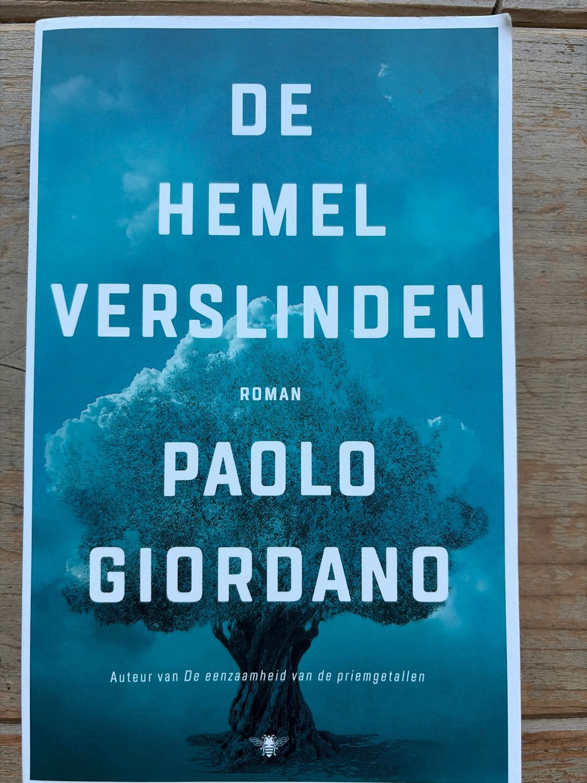 De Hemel Verslinden - Paolo Giordano (Roman), Ophalen of Verzenden, Zo goed als nieuw, Europa overig