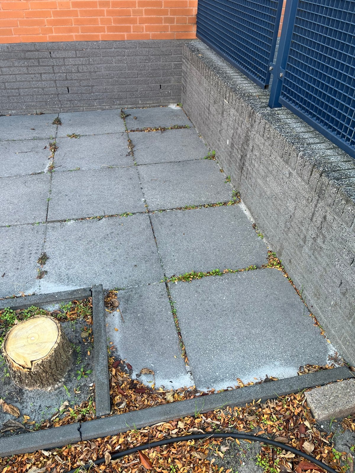 Pallet klaar! Betontegels 60x60x5 perfecte staat! GRATIS, Ophalen, Zo goed als nieuw, 10 m² of meer, Beton