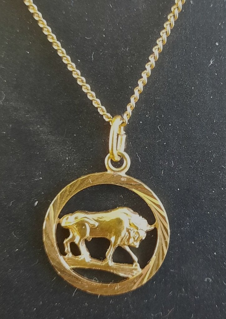 double ketting en sterrenbeeld hanger, Ophalen of Verzenden, Zo goed als nieuw, Goud, Overige materialen