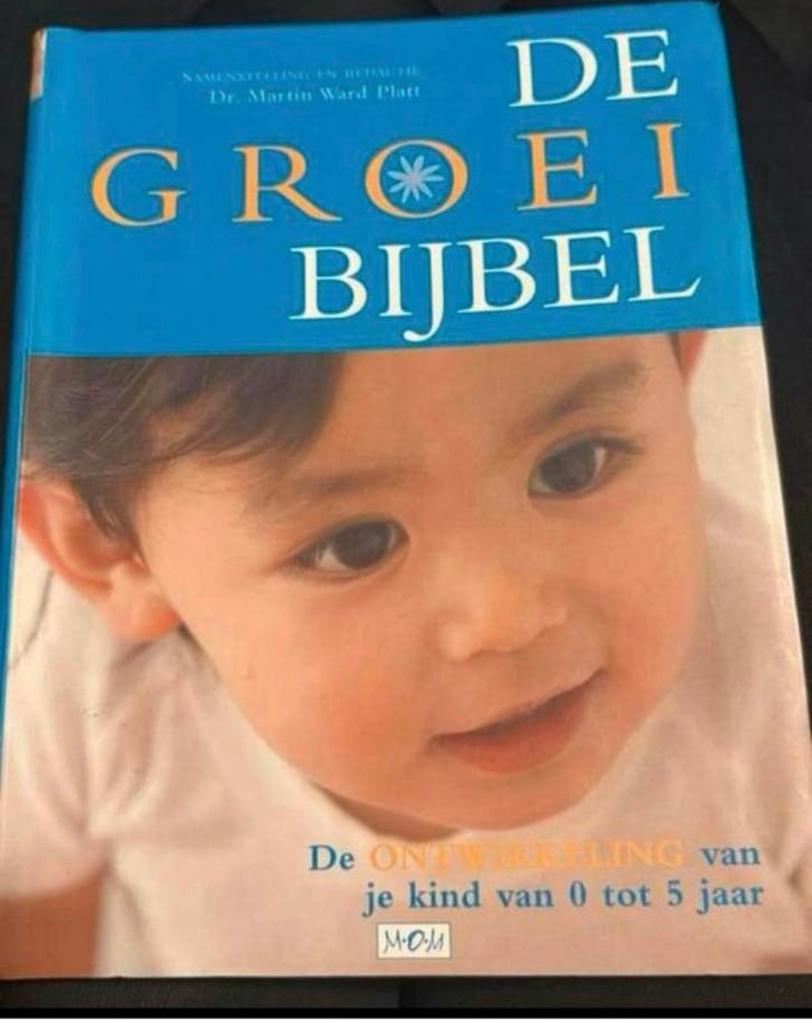 De groeibijbel voor kids tot 5 jaar, Ophalen of Verzenden, Zo goed als nieuw