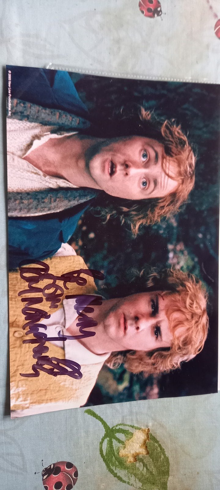 LOTR foto met originele handtekeningen, Ophalen of Verzenden