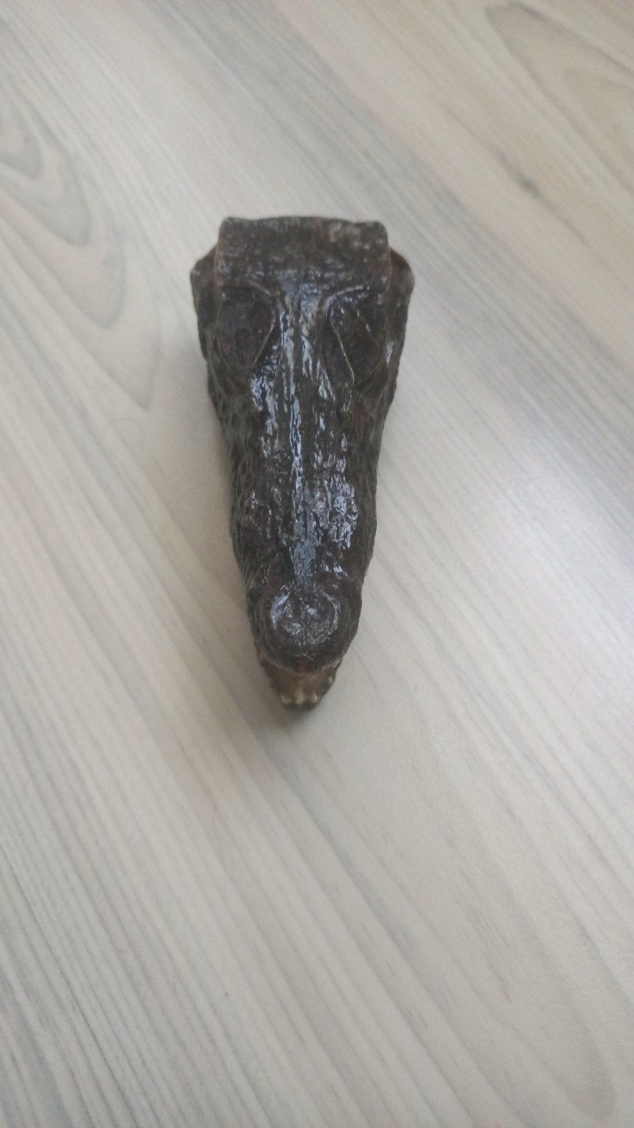 Baby krokodil hoofd., Ophalen of Verzenden, Zo goed als nieuw