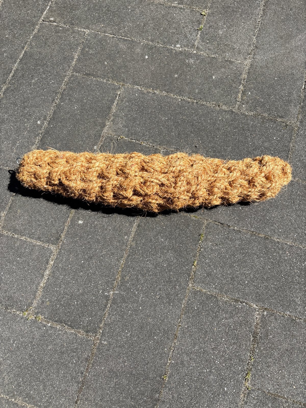 Talamex Kokos Kopleguaan Stootwilg/Fender 40 cm - Nieuw, Ophalen of Verzenden, Nieuw, Overige typen