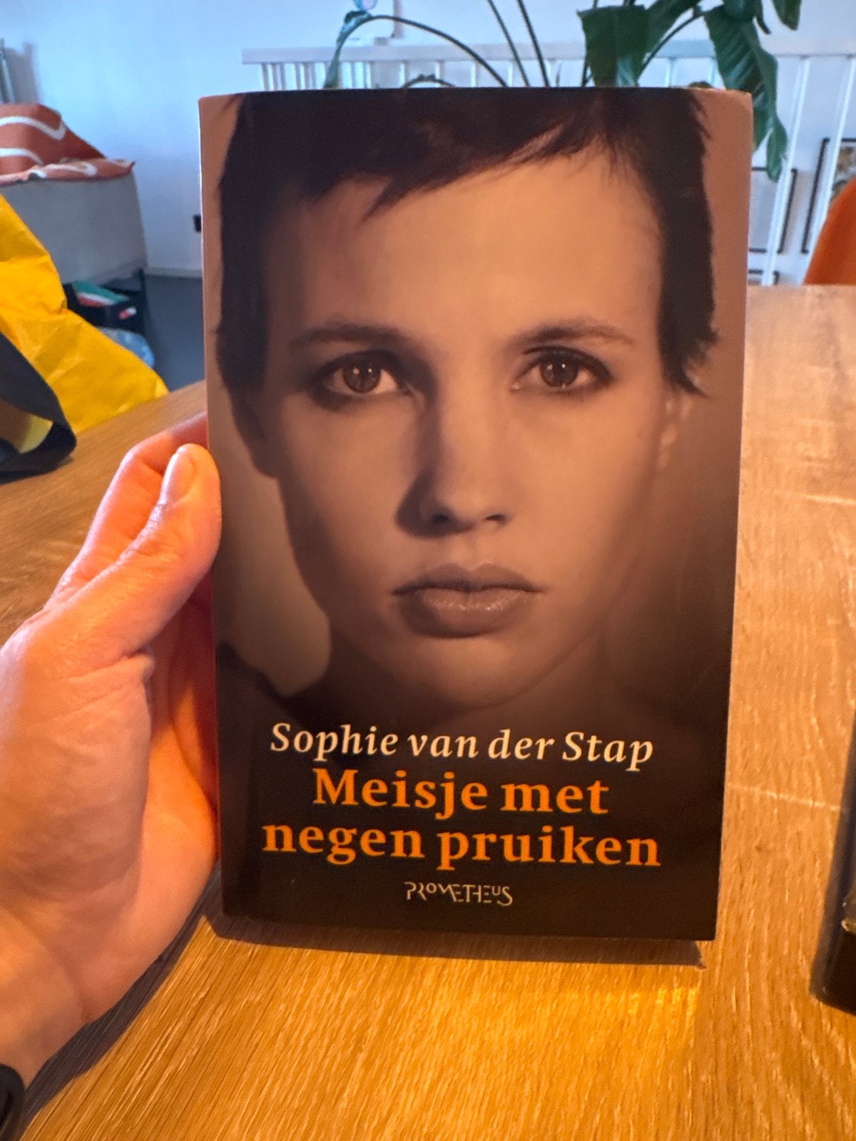 Meisje met negen pruiken - Sophie van der Stap, Ophalen, Gelezen, Nederland
