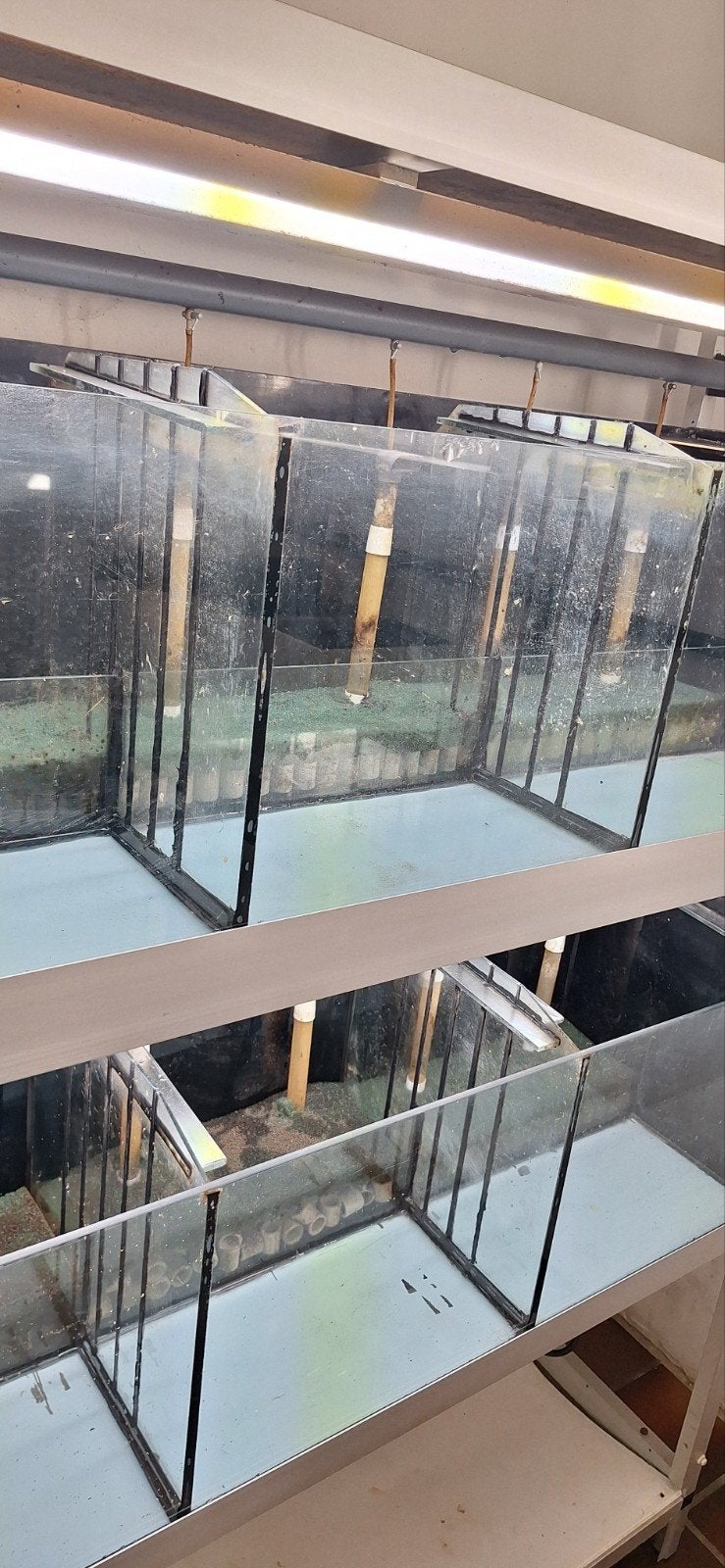 Nette aquariumstelling 130x40x175, Ophalen, Leeg aquarium