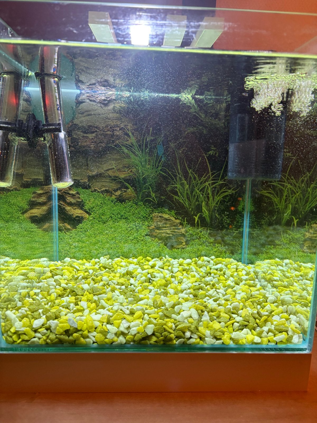 Aquarium 24 liter, Ophalen, Gebruikt, Leeg aquarium, Superfish