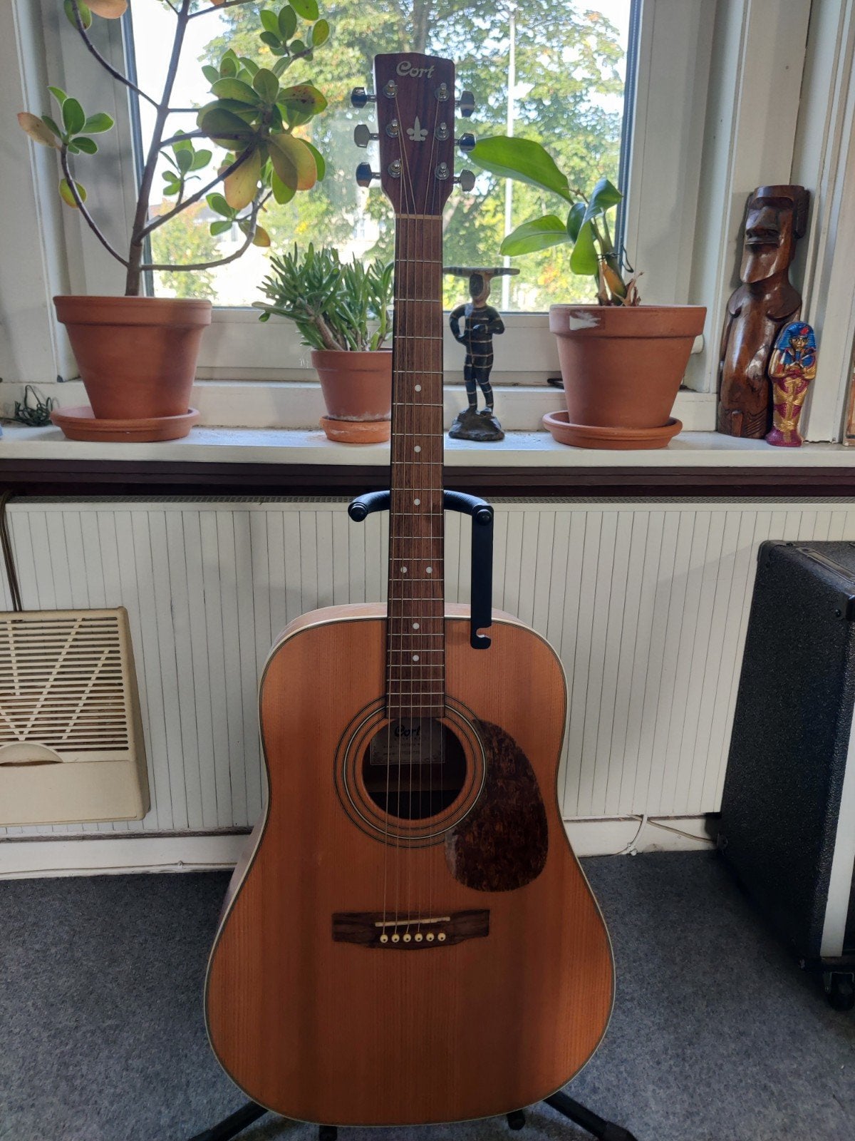 Cort Earth 70, Ophalen, Gebruikt, Western- of Steelstringgitaar