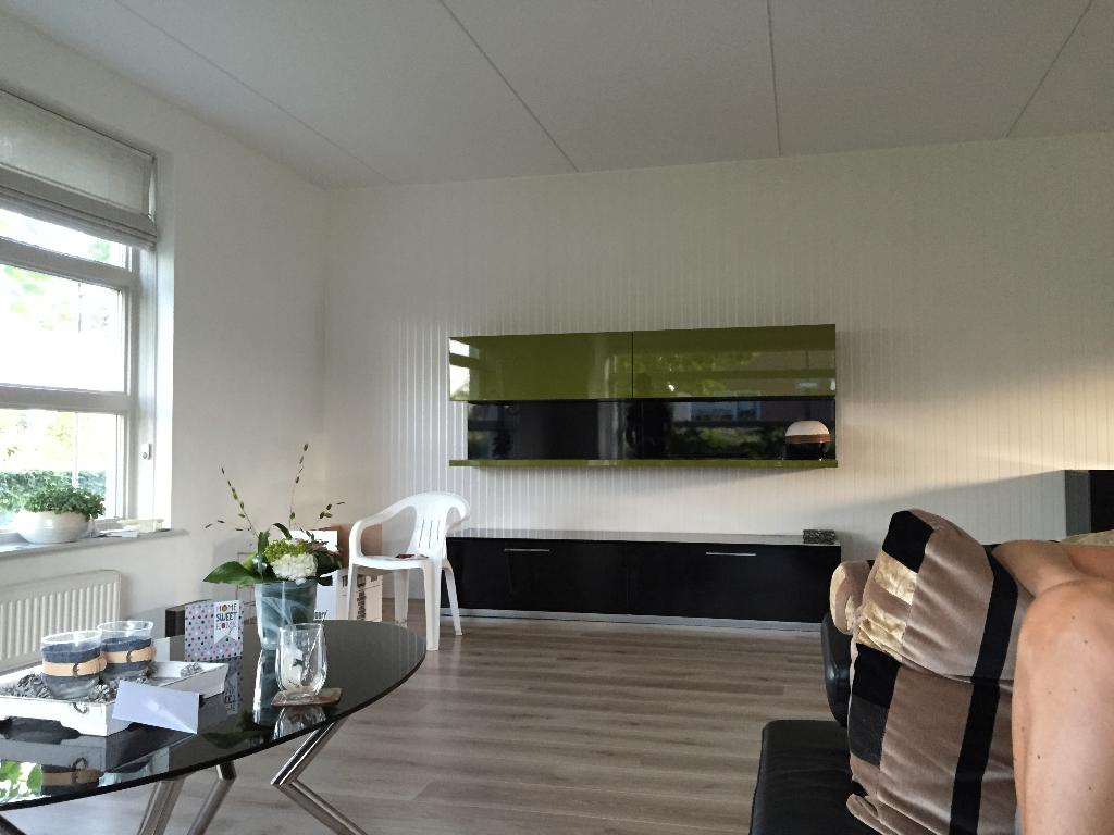kast woonkamer meubel, Ophalen, Kunststof, Gebruikt, 200 cm of meer