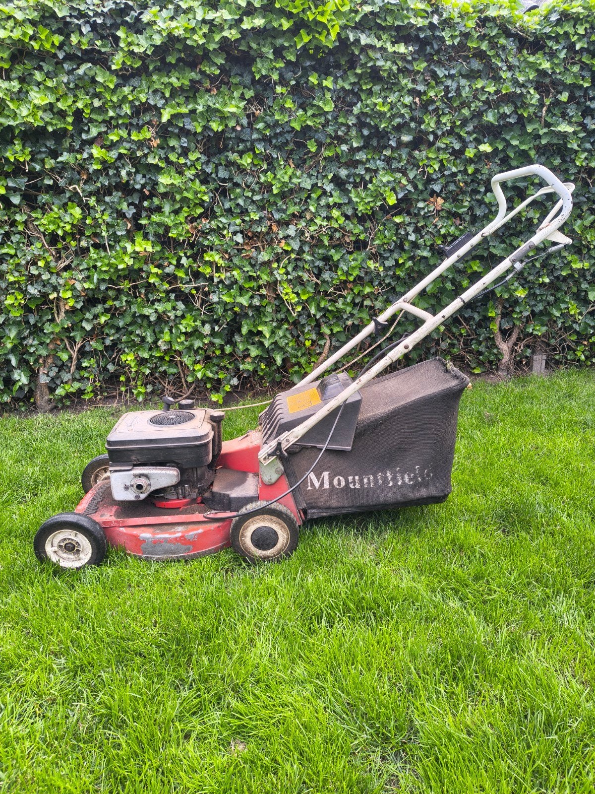 Mountfield Benzine Grasmaaier met Opvangzak, Tuin en Terras, Ophalen, Cirkelmaaier, 40 t/m 49 cm, Mountfield