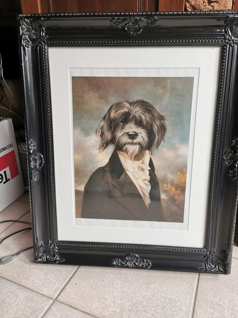 Honden in kleding, Ophalen of Verzenden