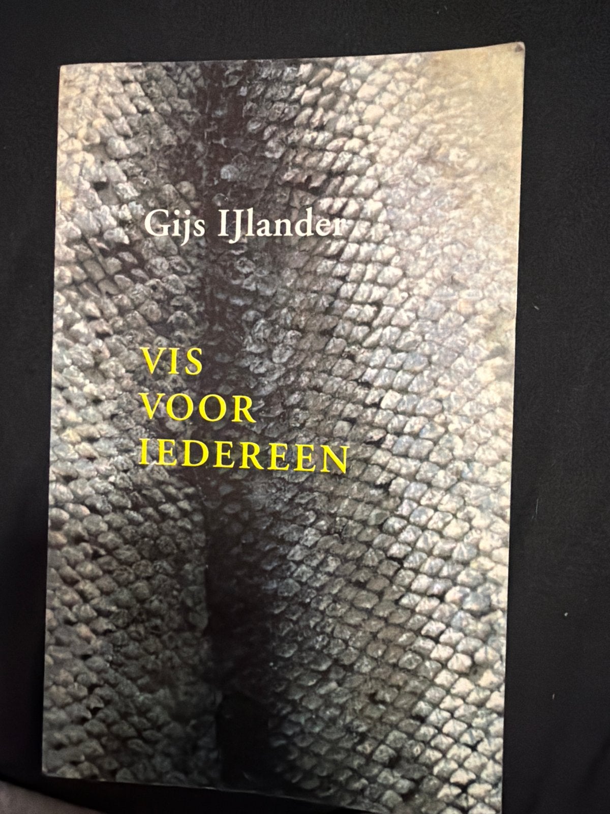 Gijs IJslander - Vis voor Iedereen, Boeken, Ophalen, Zo goed als nieuw