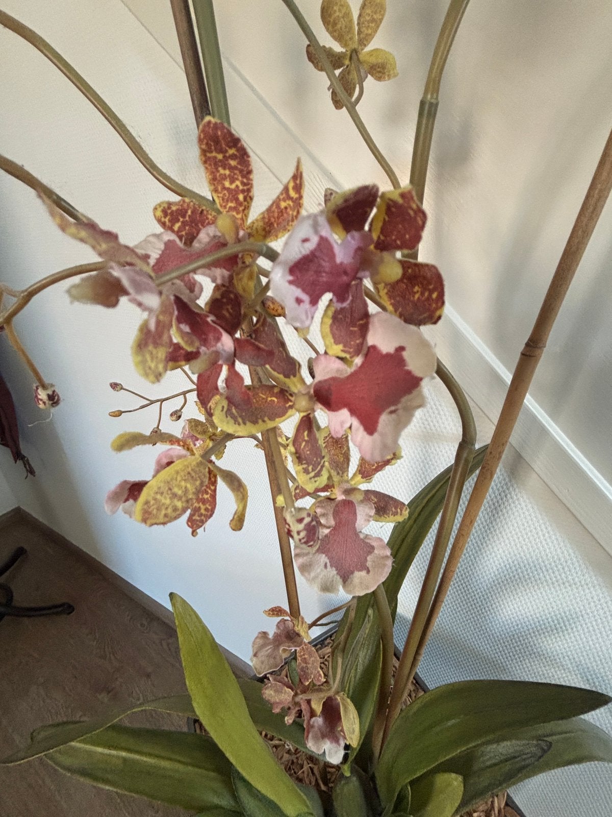 Mooie 2 mooie zijden orchideeën, Ophalen, Zo goed als nieuw
