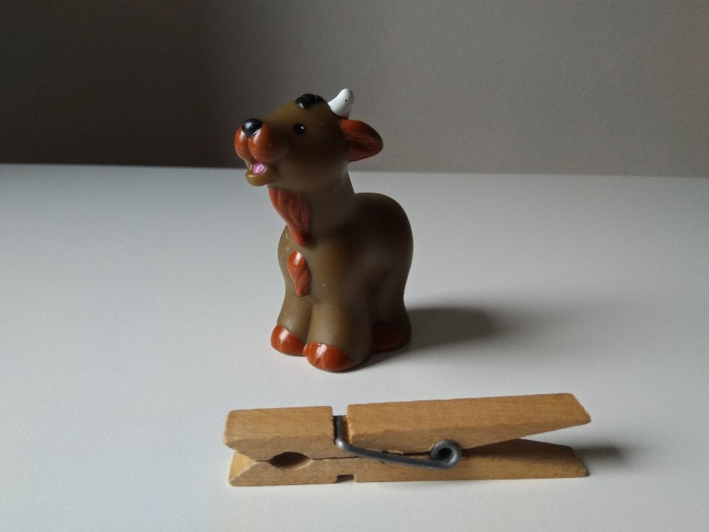Fisher Price geit, Ophalen of Verzenden, Gebruikt, Overige typen