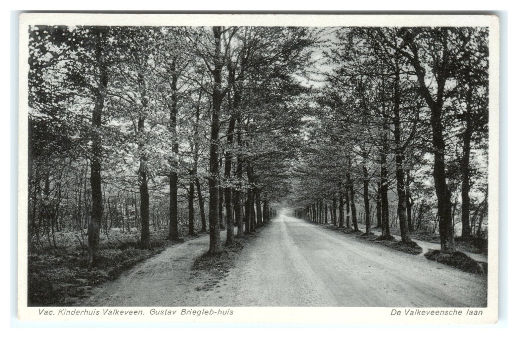 Valkeveen, De Valkeveensche laan, Ophalen of Verzenden, 1920 tot 1940, Gelopen, Noord-Holland