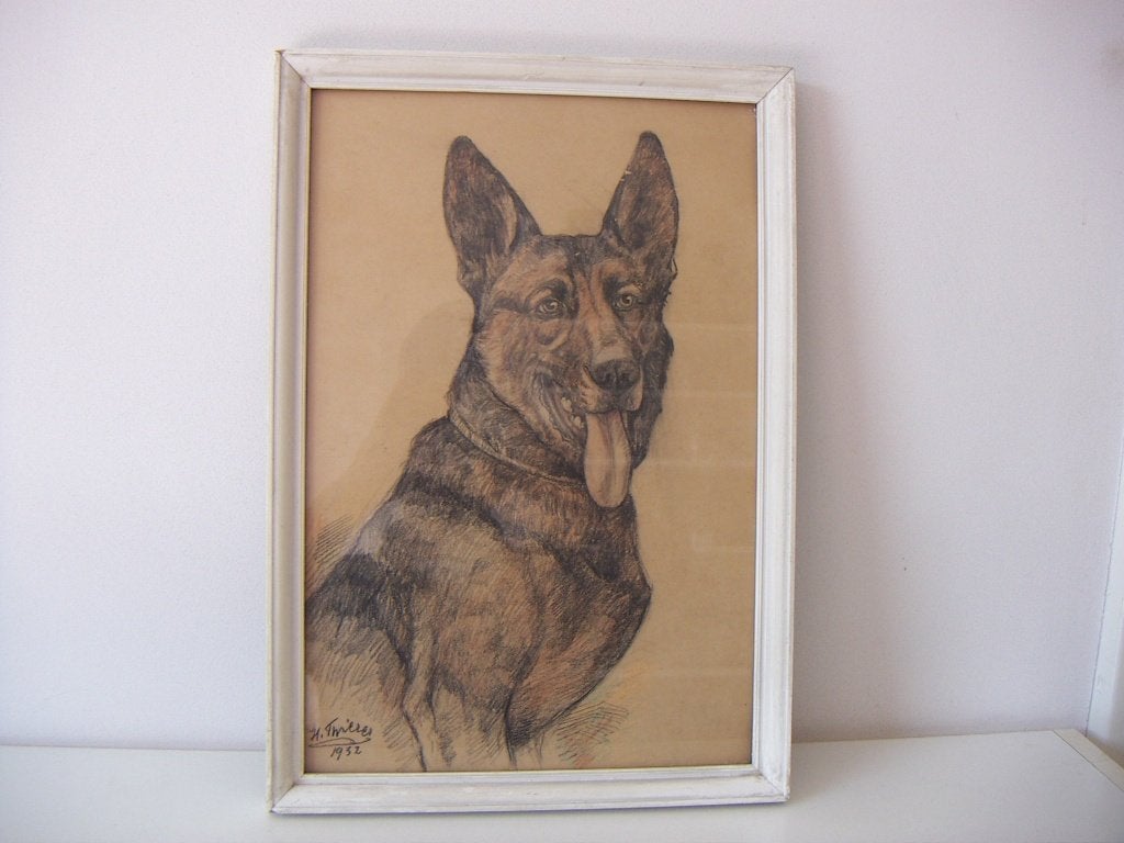 Hermann Thierer. Tekening van herdershond uit jaar 1932., Minder dan 50 cm, Tekening, Ophalen of Verzenden, Zo goed als nieuw