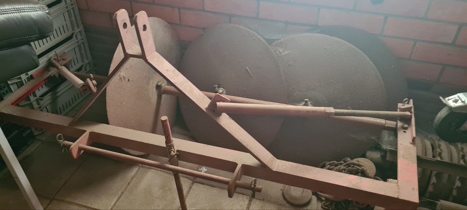 Sleuventrekker, Volle zon, Bloeit niet, Minder dan 100 cm, Overige soorten