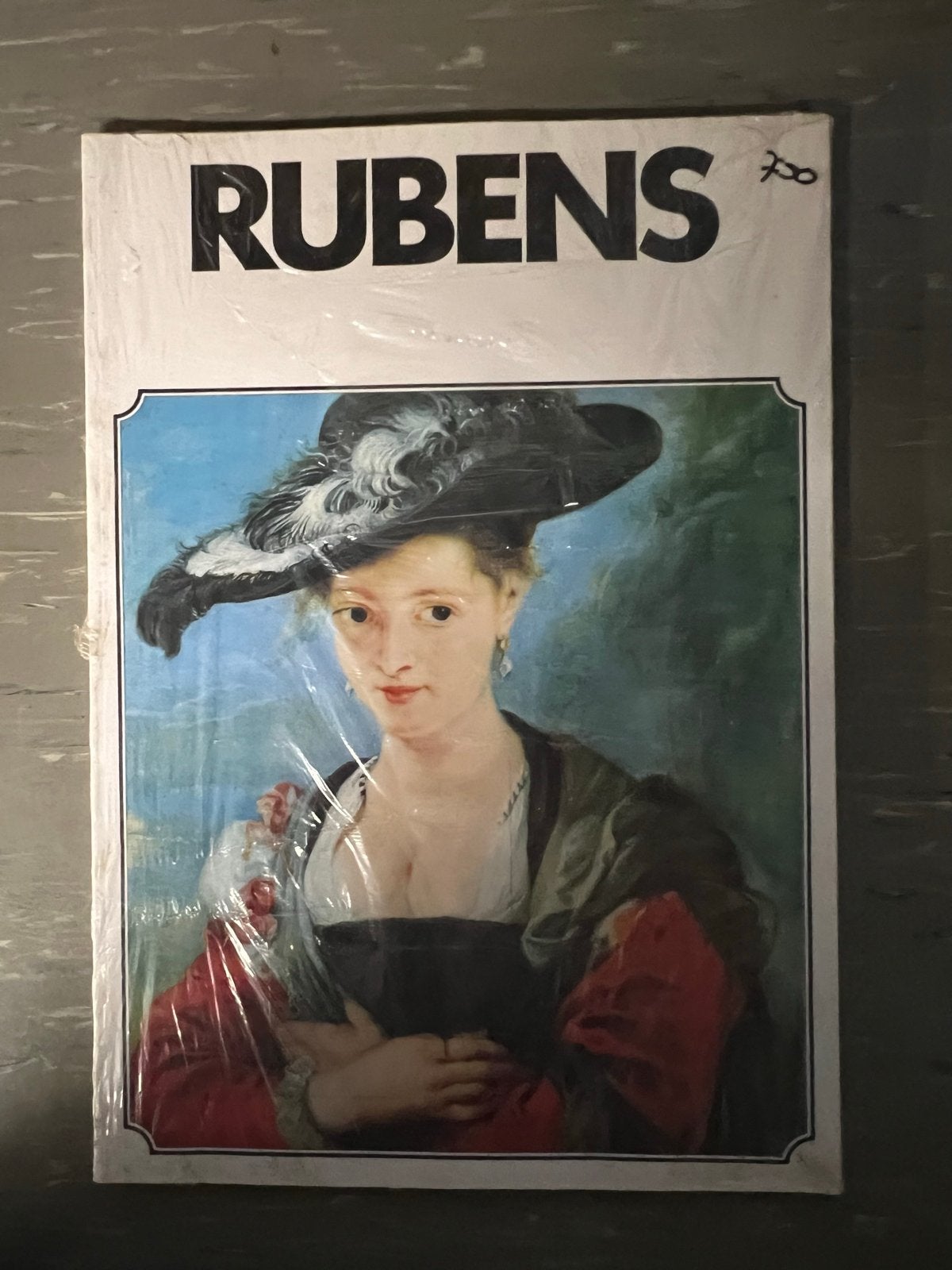 Rubens Kunstboek - Nieuw in folie, Ophalen of Verzenden, Nieuw, Schilder- en Tekenkunst