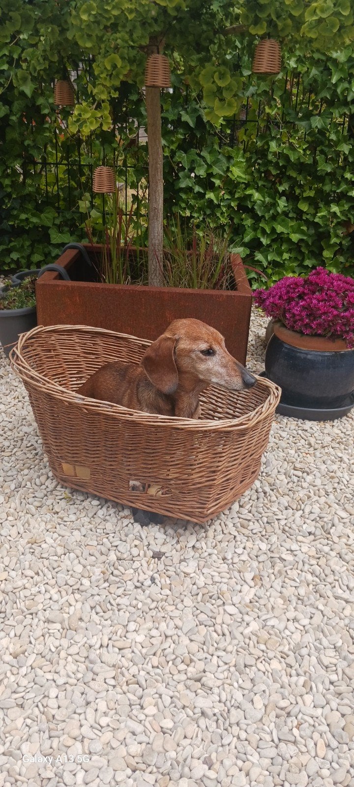 Honden fietsenmand riet 32L, Dieren en Toebehoren, Ophalen, Riet