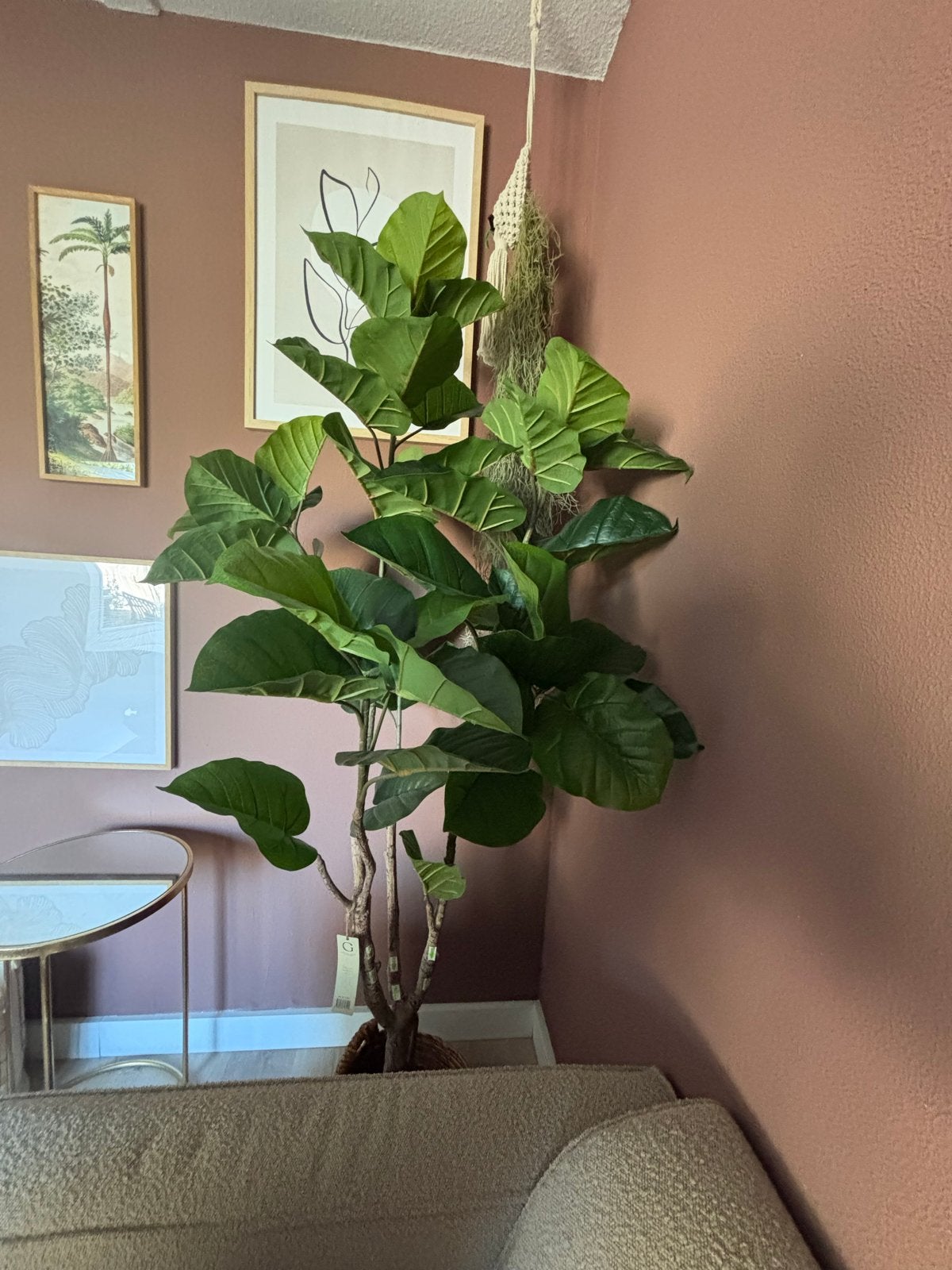 Kunstplant Ficus Rumphii 180cm - Zo goed als nieuw!, Ophalen, Binnen, Groen, Kunstplant