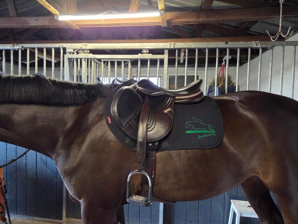 Nette Ikonic evolution springzadel, Ophalen, Springen