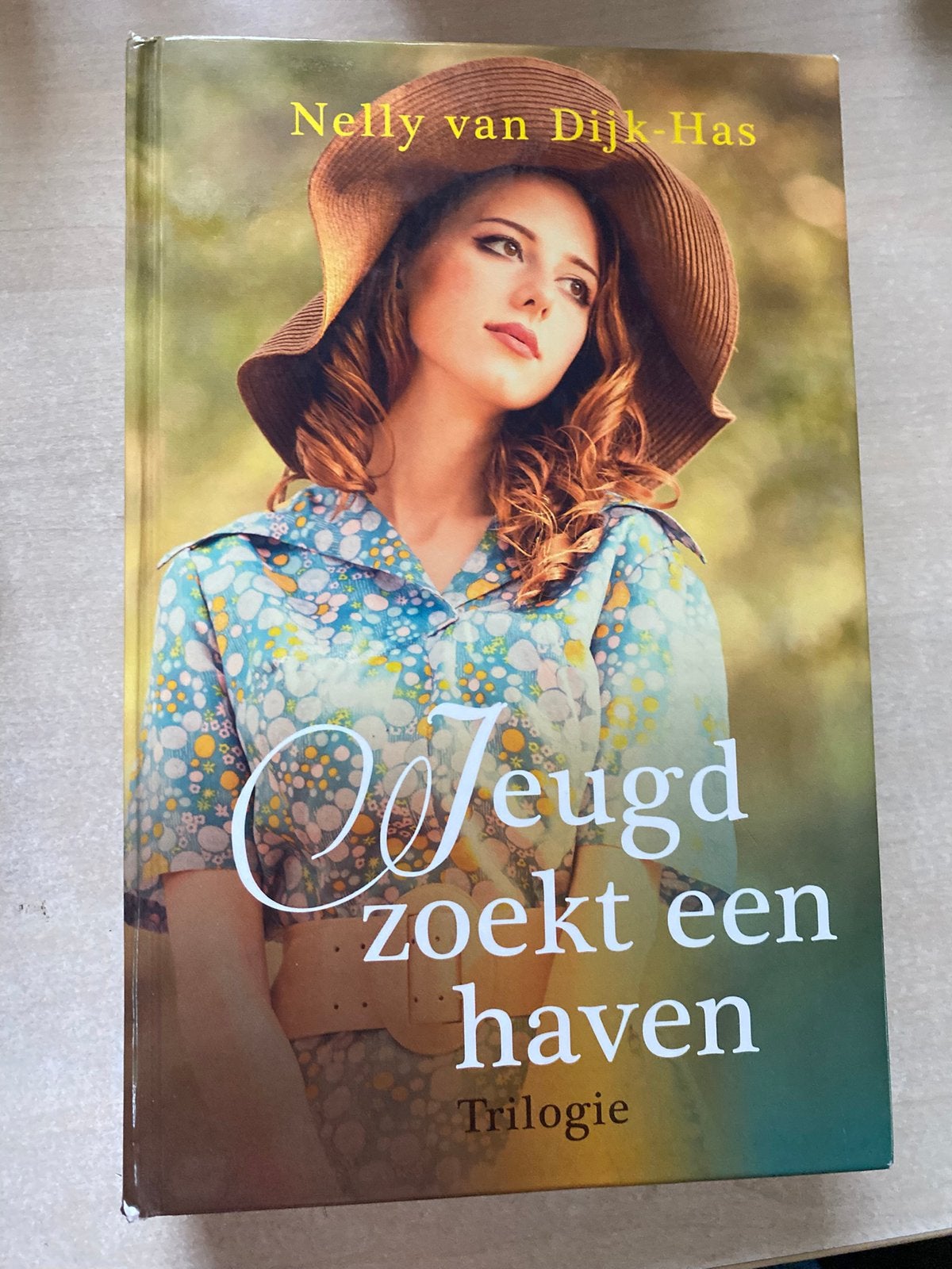 Jeugd zoekt een haven (Nelly van Dijk-Has), Boeken, Ophalen of Verzenden, Zo goed als nieuw