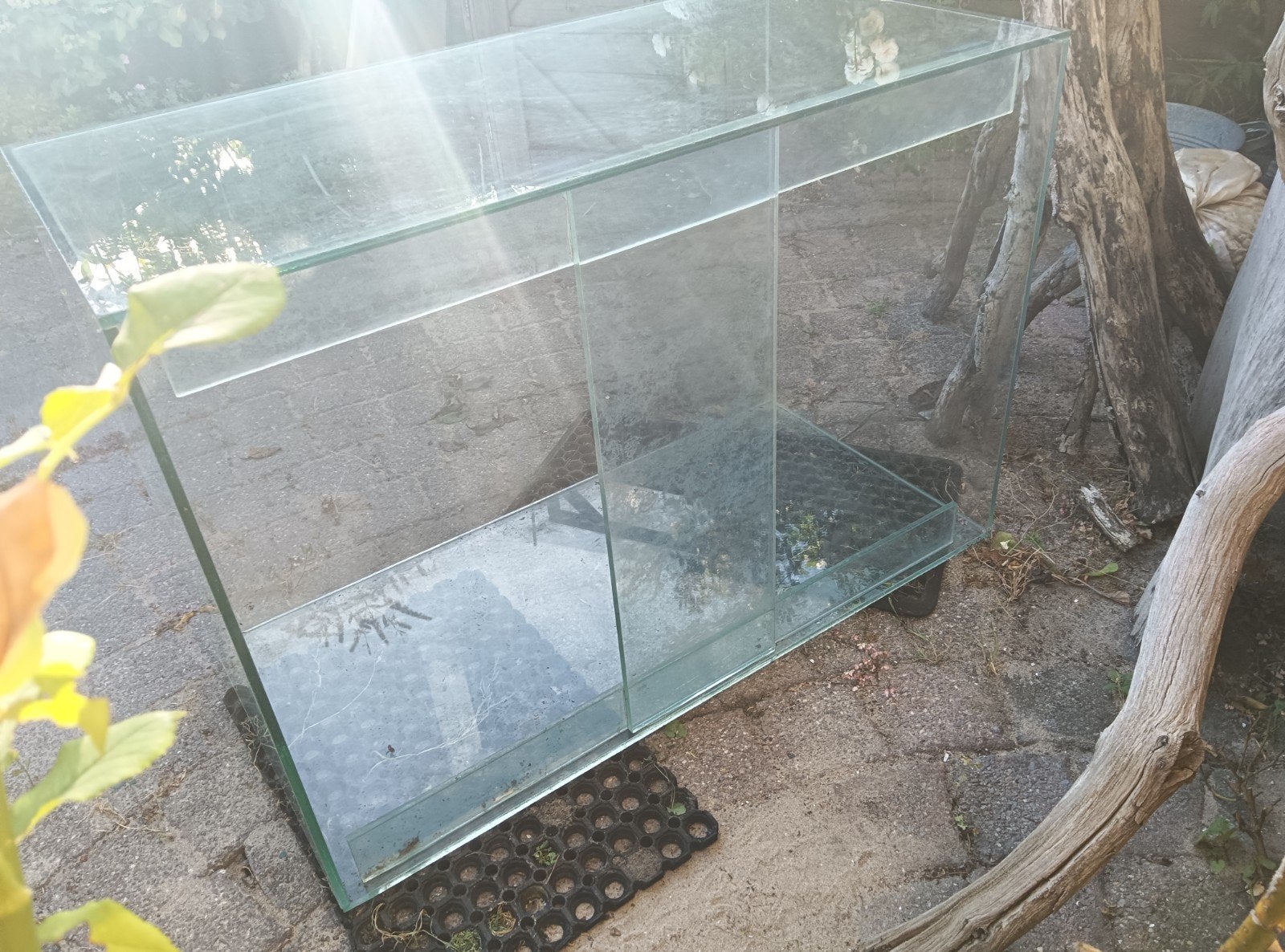 Zware glazen aquarium-/kweekbak100  70  50 cm, Ophalen, Leeg aquarium