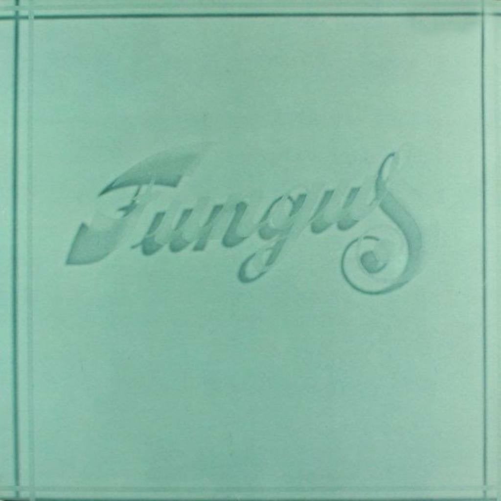 Folk Pop L.P. (1978) Fungus - Fungus, Cd's en Dvd's, LP, Gebruikt, Folk, Ophalen of Verzenden