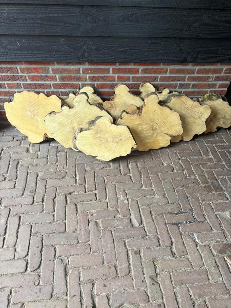 Boomstamschijven van acacia hout, Ophalen, 25 tot 50 mm, Overige typen, Nieuw
