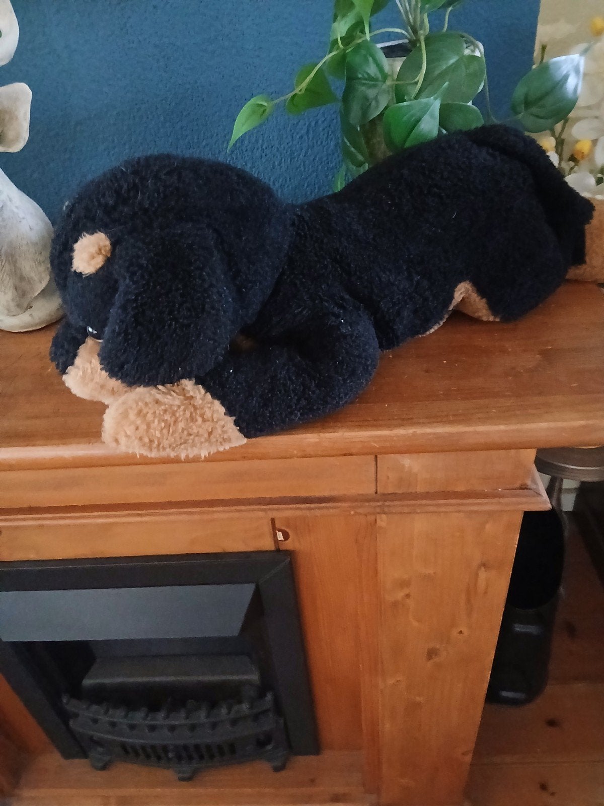 leuke pluche hondje, Ophalen of Verzenden, Zo goed als nieuw, Hond