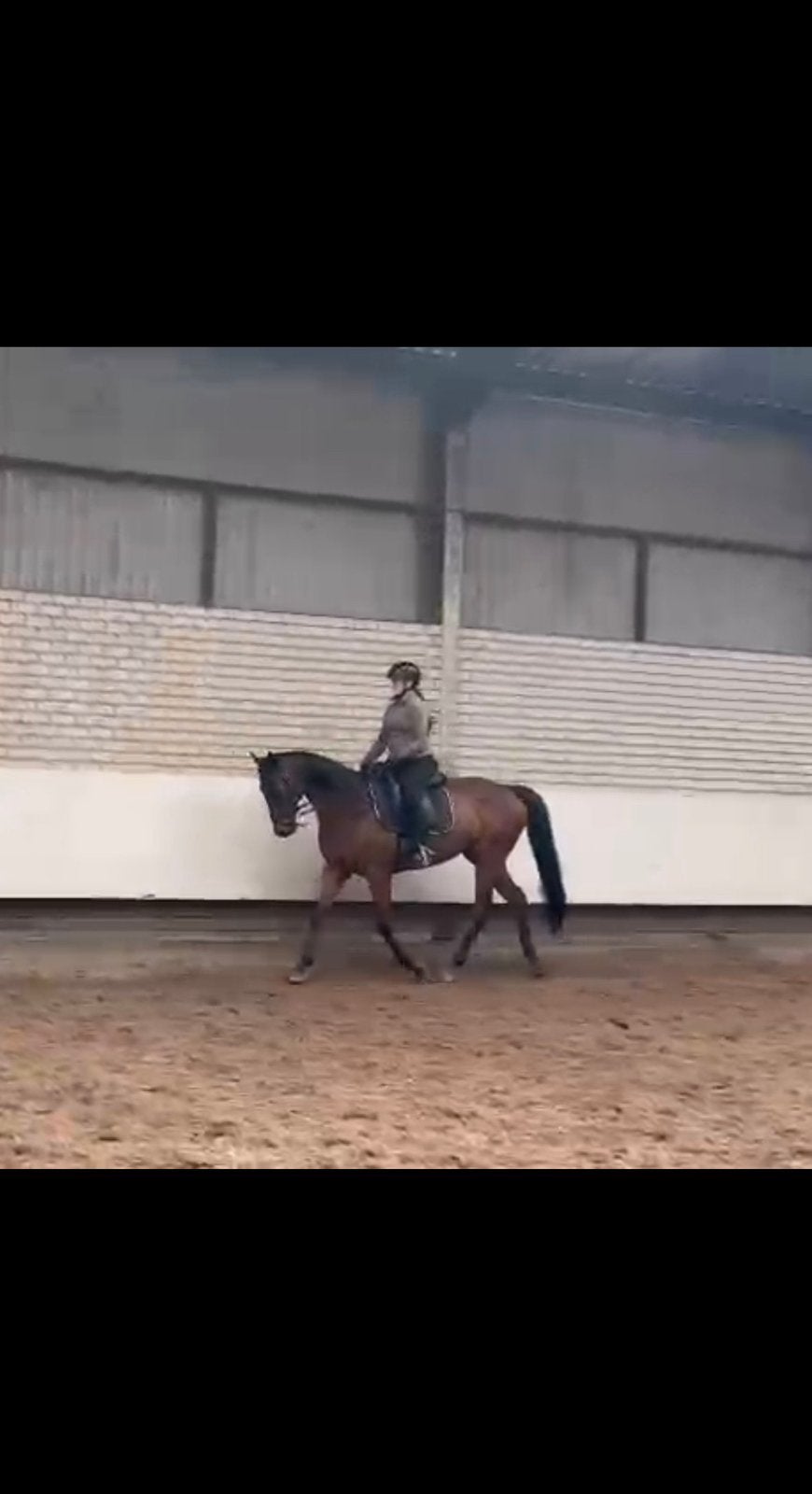 Bijrijder AANGEBODEN/lease paard GEZOCHT, Ophalen of Verzenden