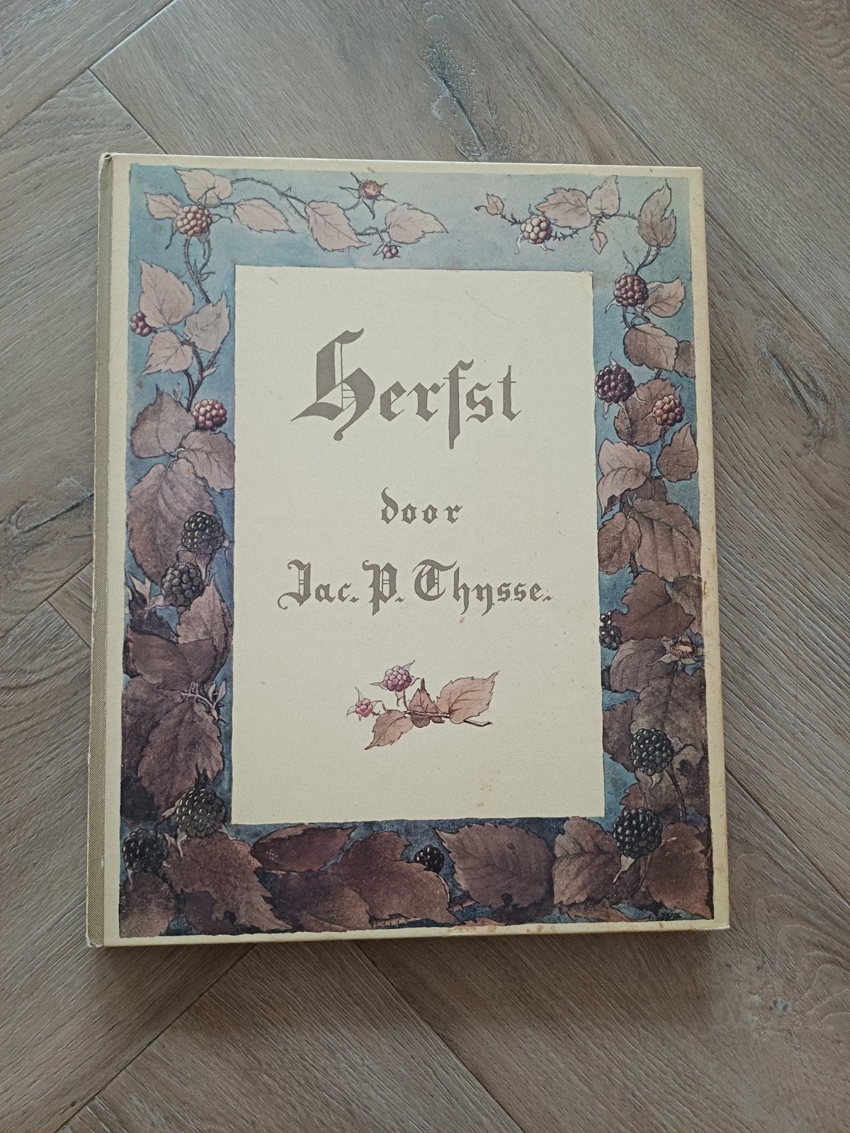 Herfst door Jac. P. Thijsse - Geïllustreerd Natuurboek, Boeken, Ophalen of Verzenden, Gelezen, Natuur algemeen, Jac. P. Thijsse