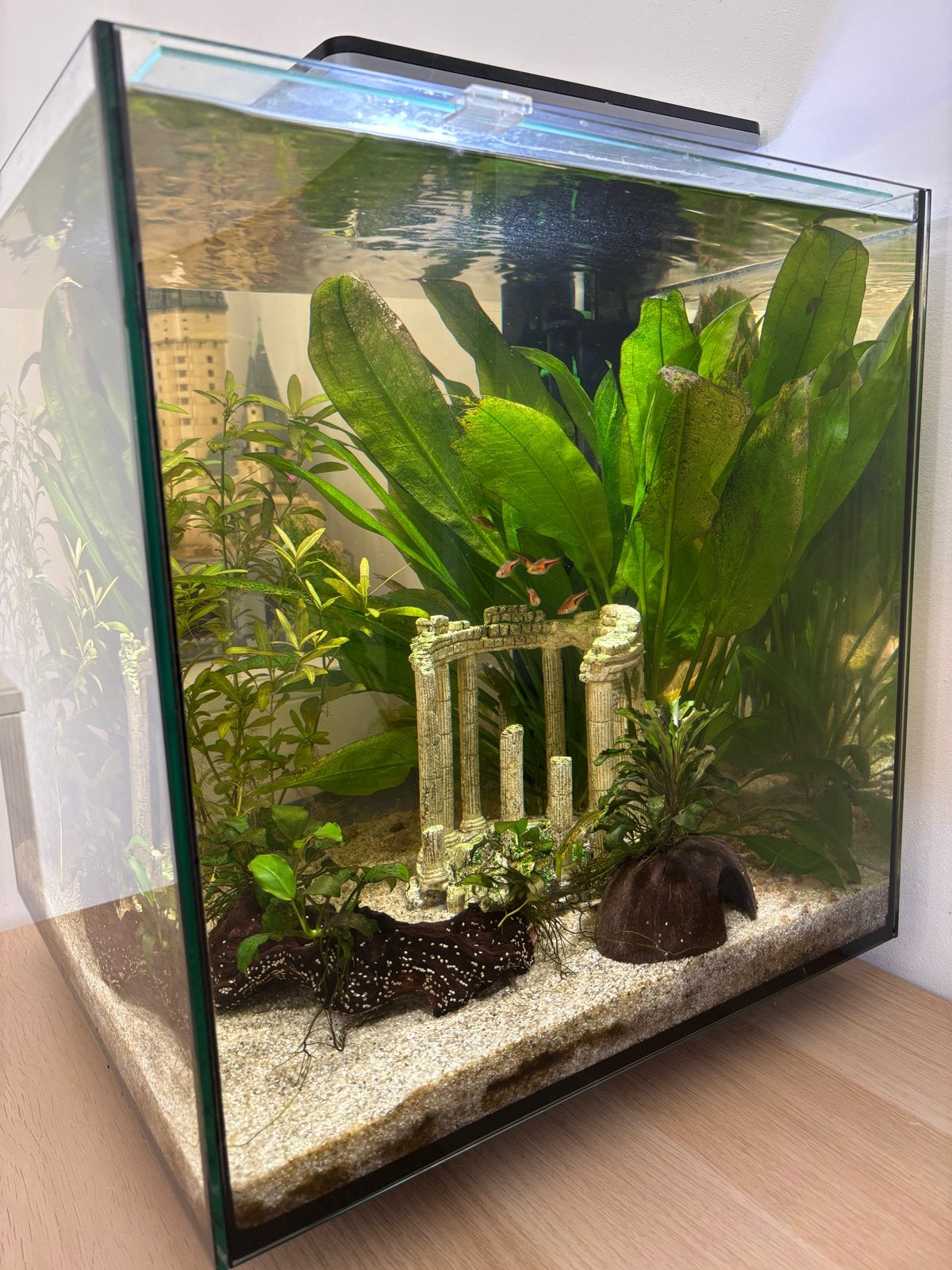 Foto 2 van Aquarium 60L all inclusive