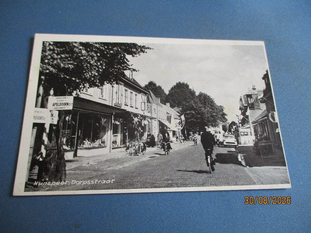 Nunspeet, Ophalen of Verzenden, Voor 1920, Ongelopen, Gelderland