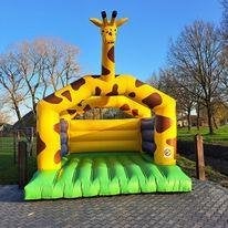 Te Huur Springkussen Giraffe, Ophalen, Zo goed als nieuw, Overige