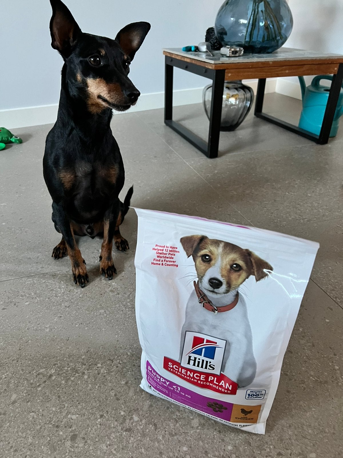 Hills Science plan hondenbrokken (voor puppies), Dieren en Toebehoren, Ophalen of Verzenden, Hond
