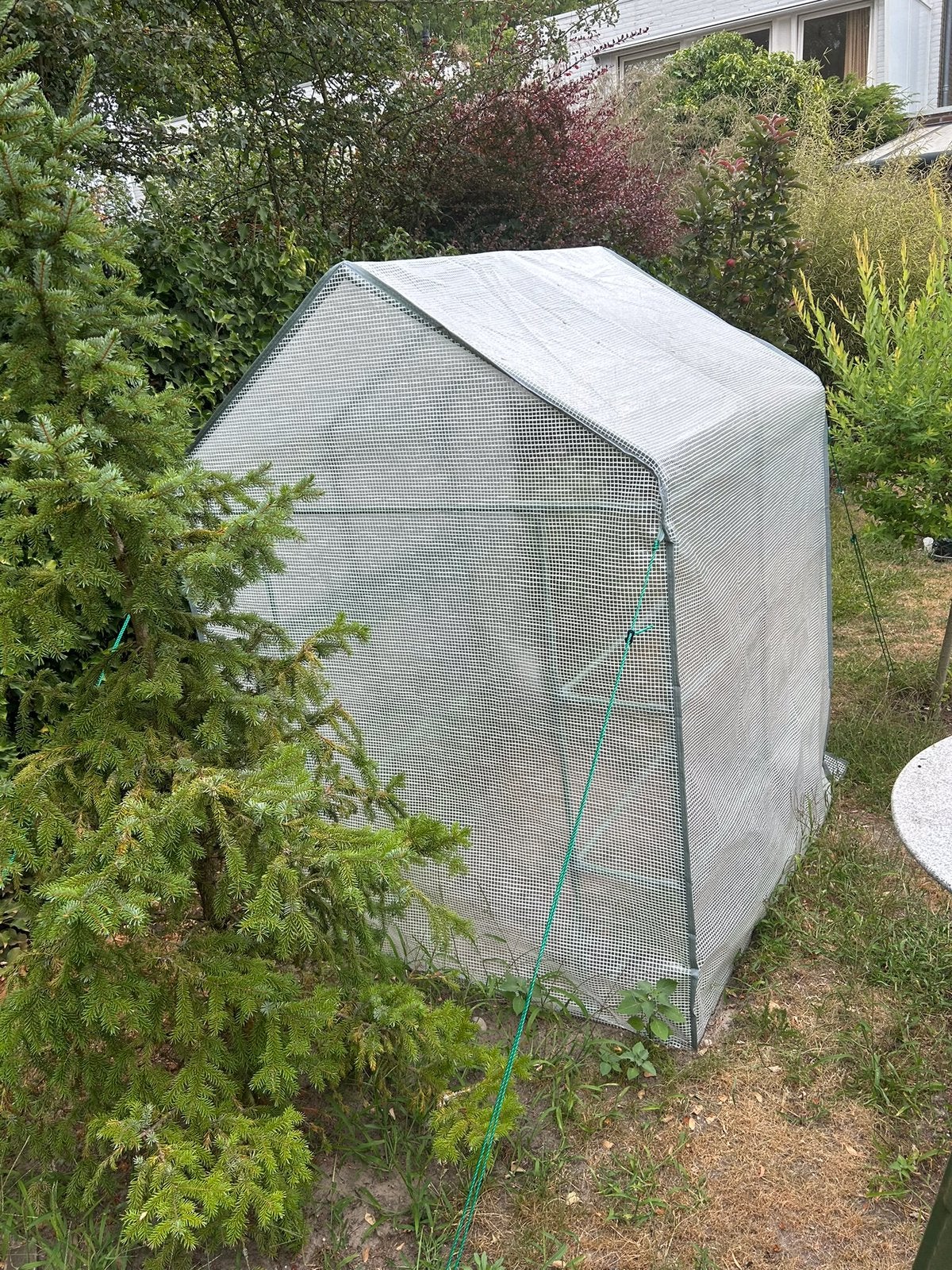 Plantenkastje, kweekkastje, Tuin en Terras, Kassen, Ophalen, Zo goed als nieuw