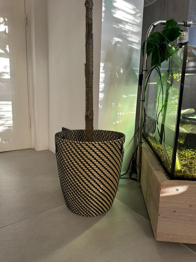 Planten mand, Ophalen of Verzenden, Zo goed als nieuw, Rond, Minder dan 30 cm