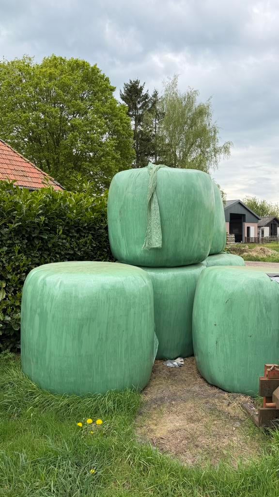 6 Grote ronde balen, Dieren en Toebehoren, Dierenvoeding, Ophalen of Verzenden, Vee