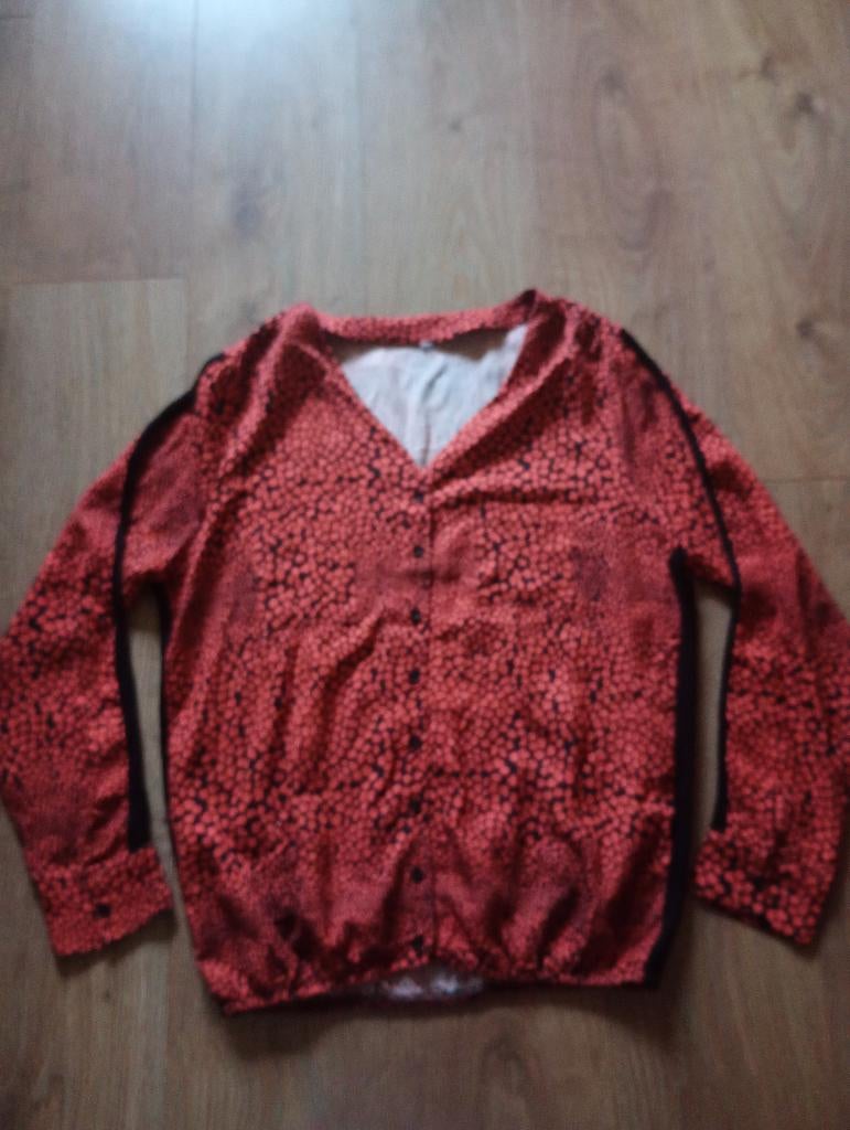 Mooie roodbruine longsleeve mt L, Kleding | Dames, Tops, Maat 38/40 (M), Oranje, Ophalen of Verzenden, Zo goed als nieuw
