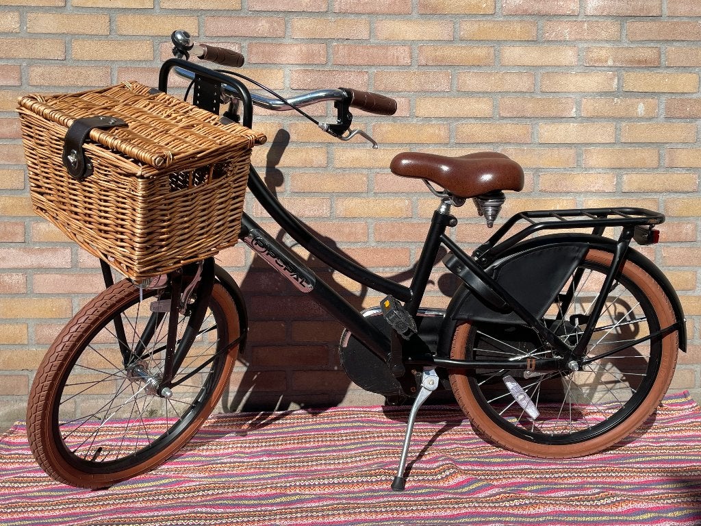 Popal 20 inch meisjes fiets, Ophalen, Terugtraprem, Popal, 20 inch